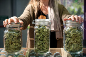 The Start of Cannabis Consultation in Nova Scotia